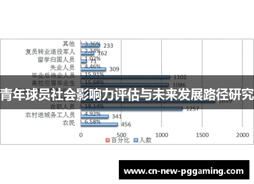 青年球员社会影响力评估与未来发展路径研究