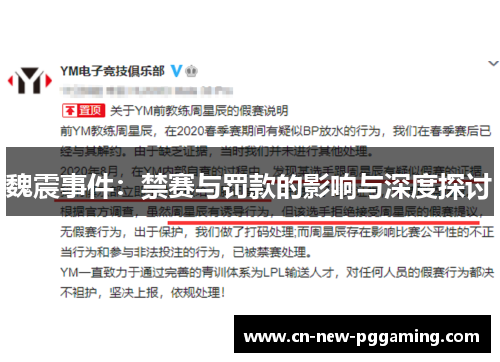 魏震事件：禁赛与罚款的影响与深度探讨